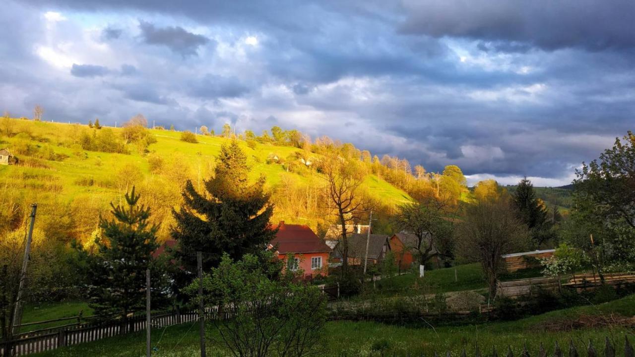 Gostynnyi Dvir U Marichky Hotel Lazeșciîna Exterior foto